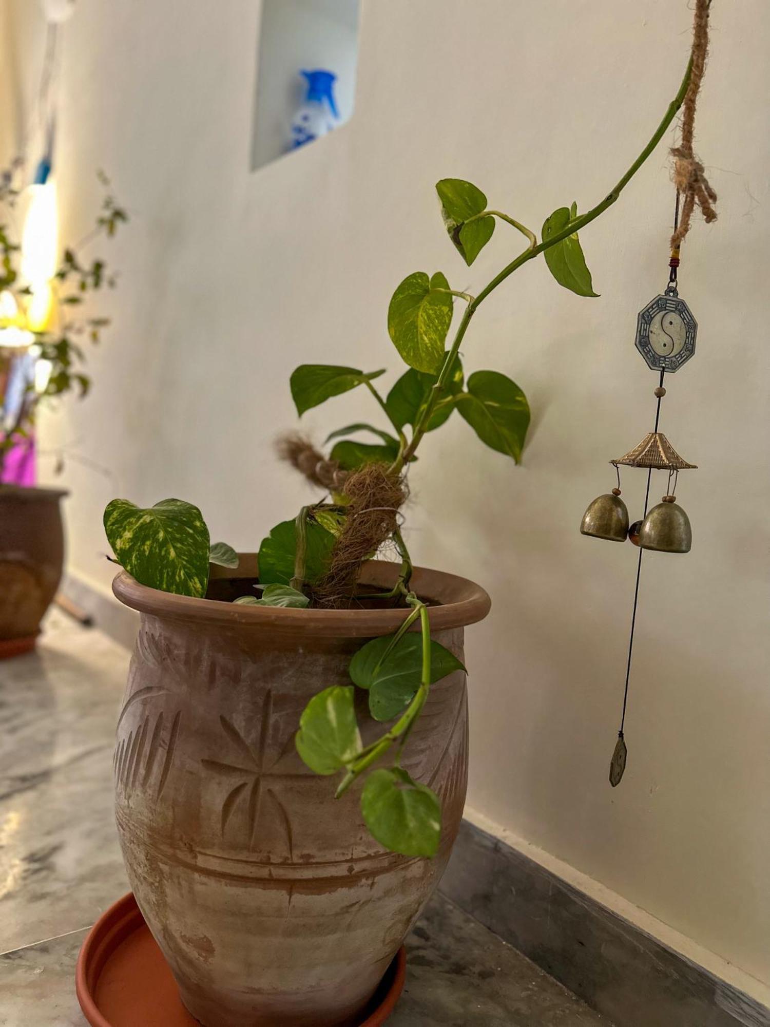 Leela Hatha Rishīkesh Buitenkant foto
